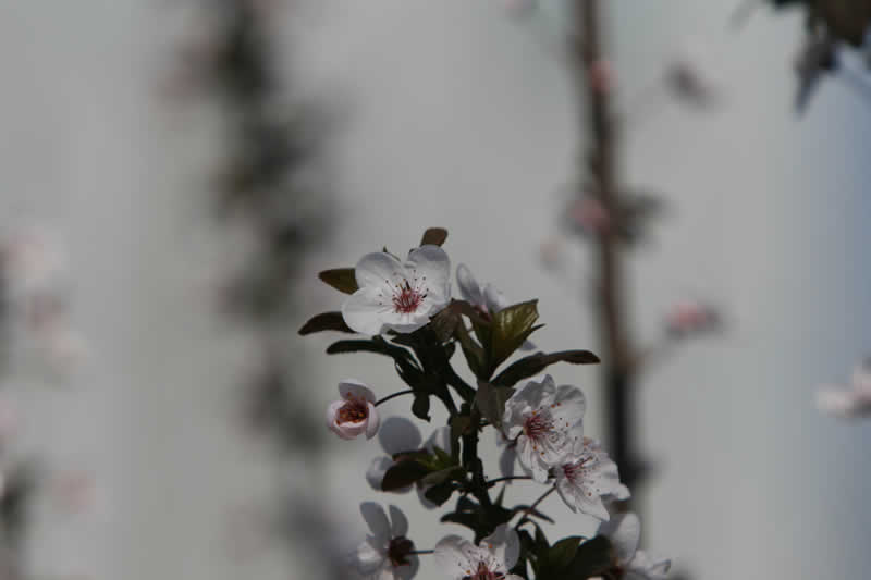 新永利APP