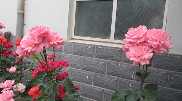 新永利APP官网优惠活动