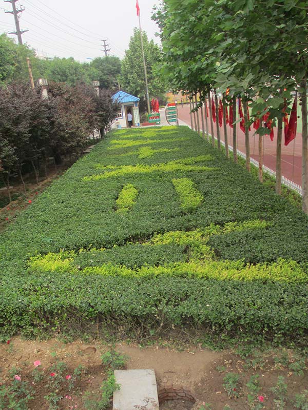 新永利APP