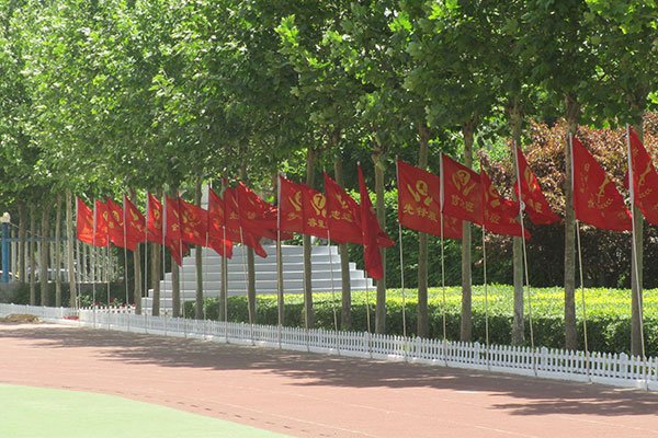 新永利APP官网优惠活动