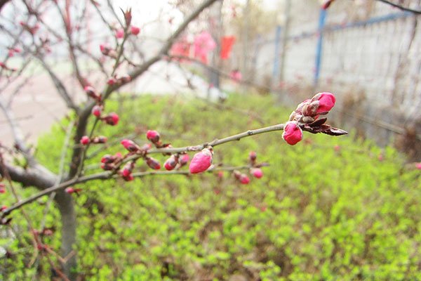 新永利APP