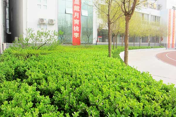 银河玖乐官方下载手机版登录