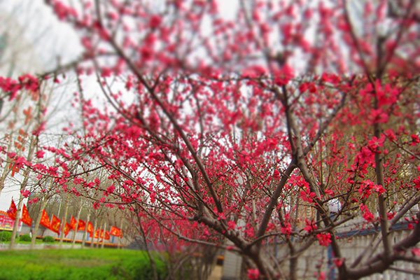 永利国际棋牌游戏官网
