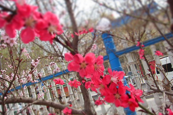 新永利APP