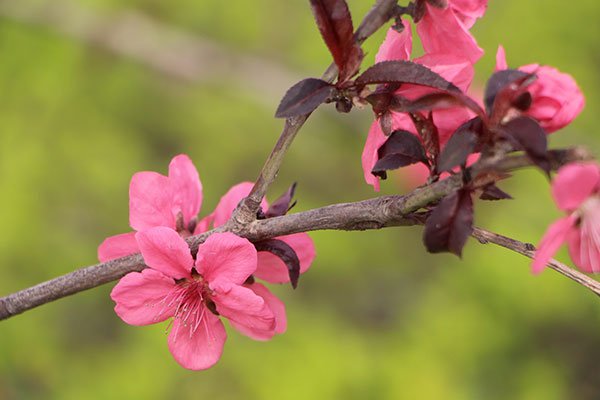 3月29日