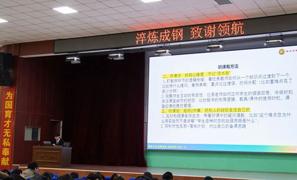 促进教师专业能力协同提升