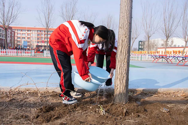 栽种新苗
